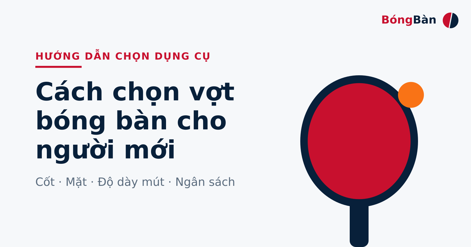 Bìa bài hướng dẫn cách chọn vợt bóng bàn cho người mới: cốt, mặt, độ dày mút và ngân sách